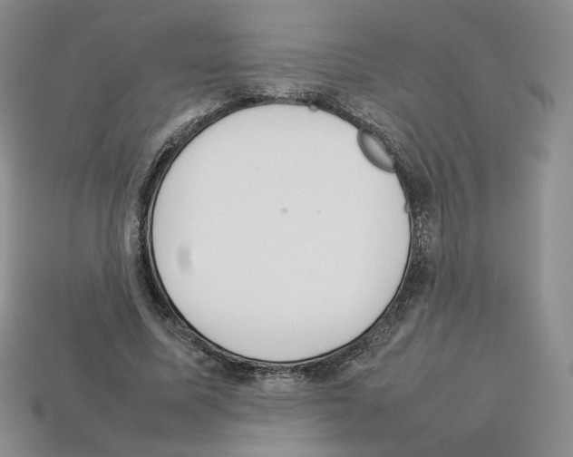 X0000112830587200910021224