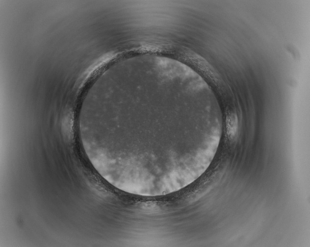 X0000112830588200910021224