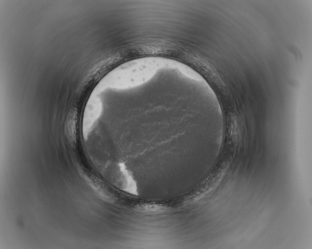 X0000112830590200910021224