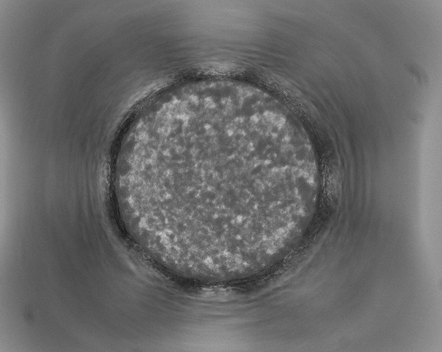 X0000112830591200910021224