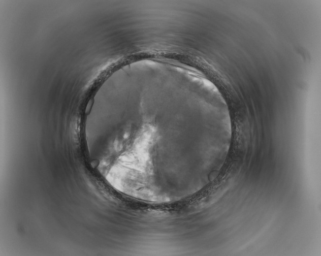 X0000112830592200910021224