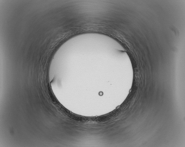 X0000112830593200910021224