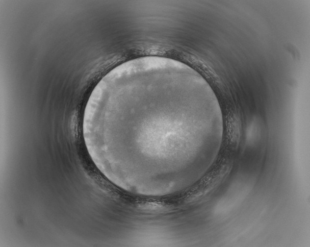 X0000112830594200910021224