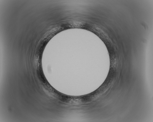 X0000112830599200910021224