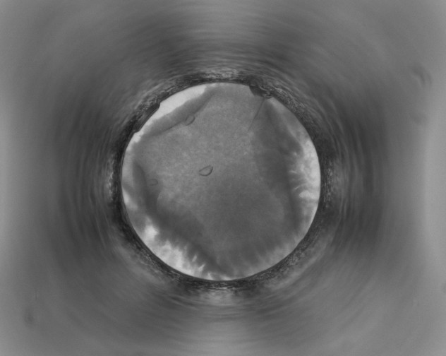 X0000112830600200910021224