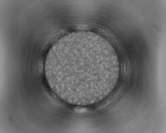 X0000112830602200910021224