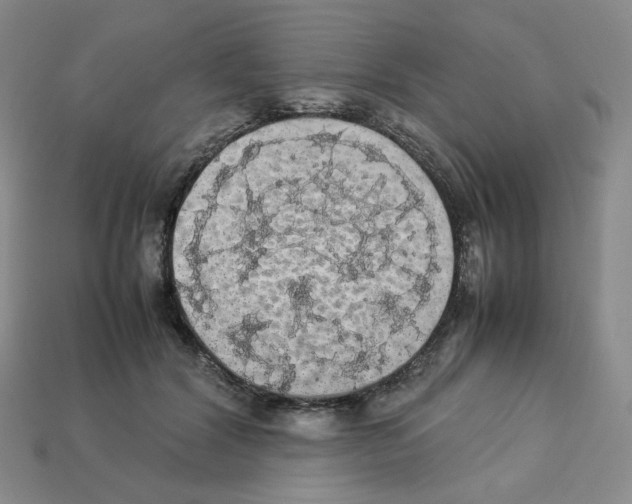 X0000112830604200910021224