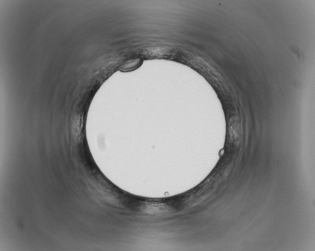 X0000112830605200910021224