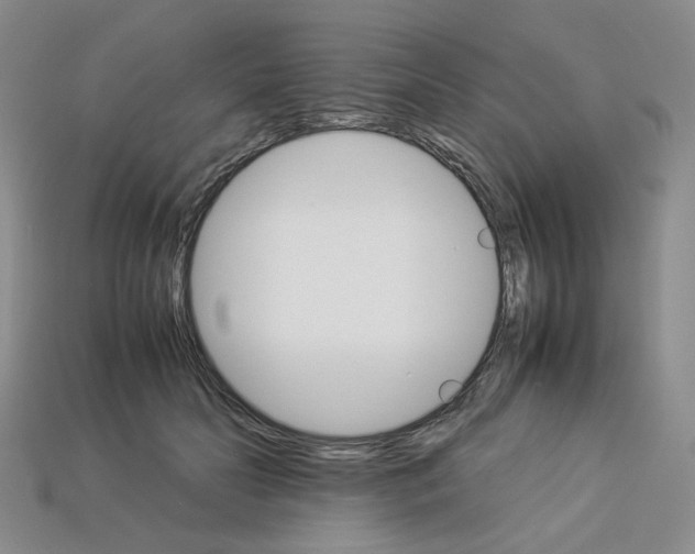 X0000112830606200910021224