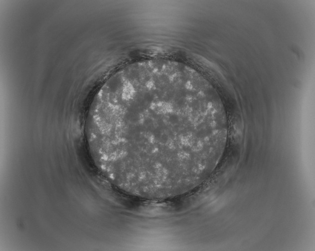 X0000112830607200910021224