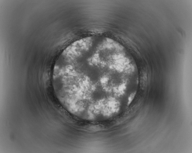 X0000112830608200910021224