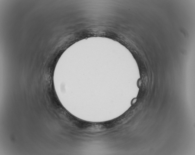 X0000112830609200910021224