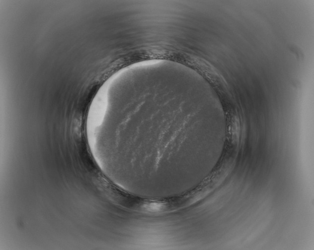 X0000112830610200910021224