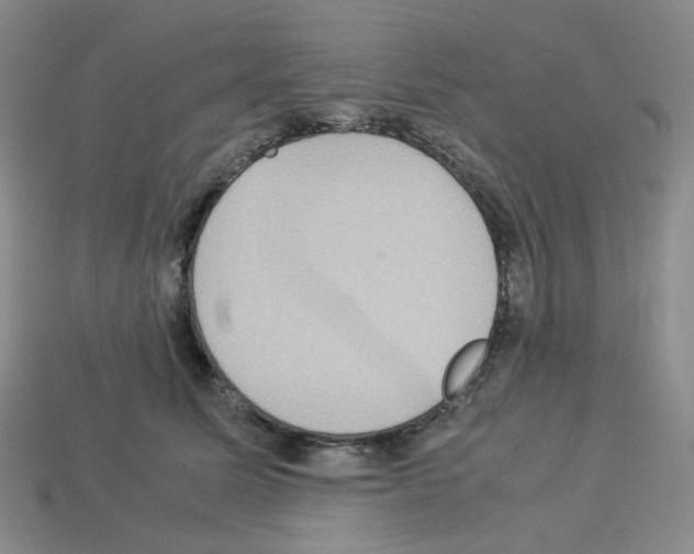 X0000112830611200910021224