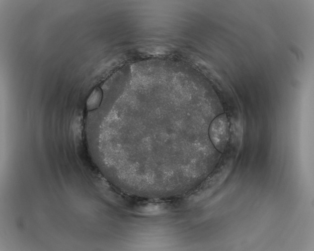 X0000112830612200910021224