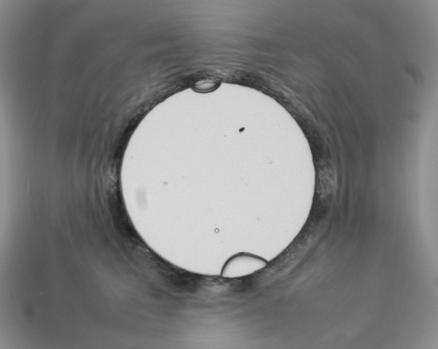 X0000112830613200910021224