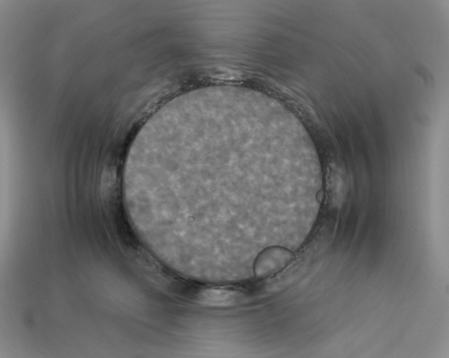 X0000112830614200910021224