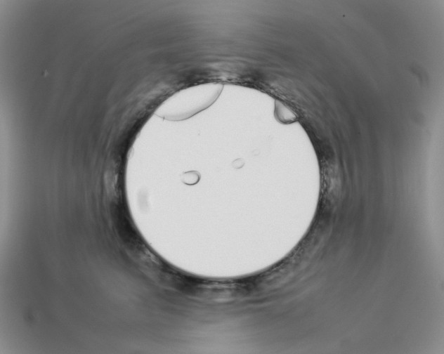 X0000112830615200910021224