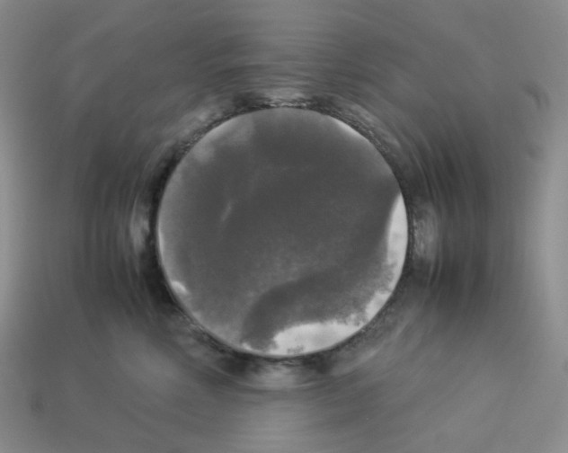 X0000112830618200910021224