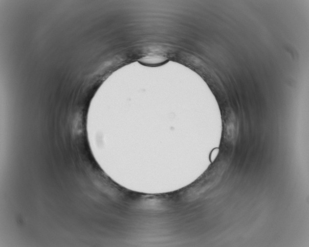 X0000112830620200910021224