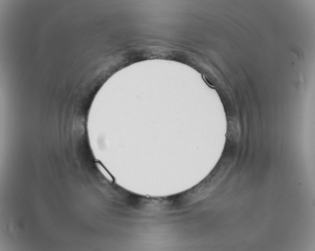 X0000112830621200910021223