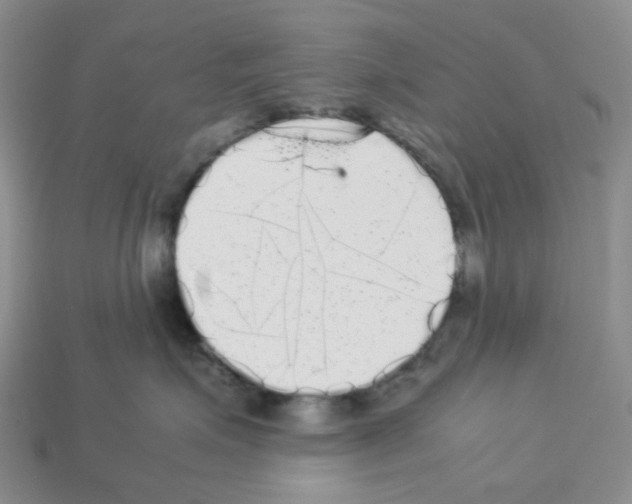 X0000112830623200910021223