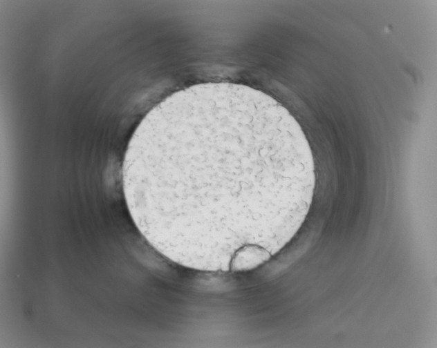 X0000112830624200910021223