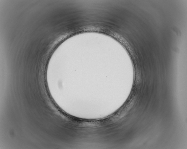 X0000112830625200910021223