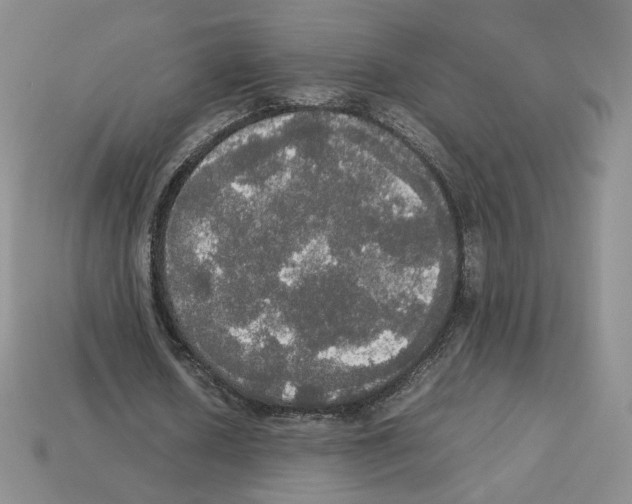 X0000112830626200910021223