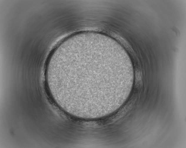 X0000112830628200910021223