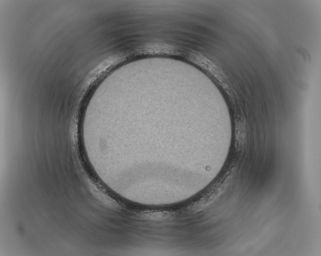 X0000112830629200910021223