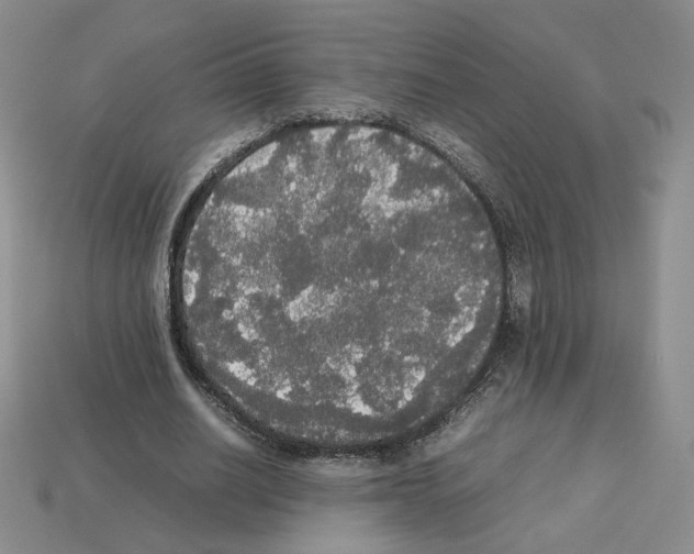 X0000112830630200910021223