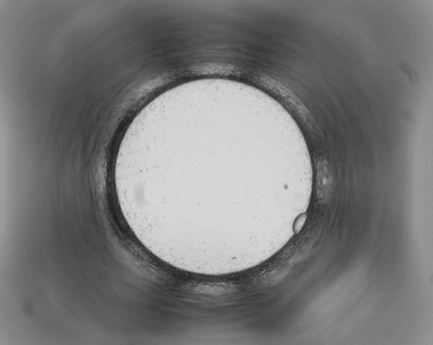 X0000112830631200910021223