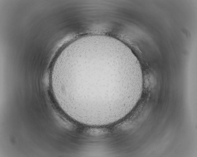 X0000112830632200910021223