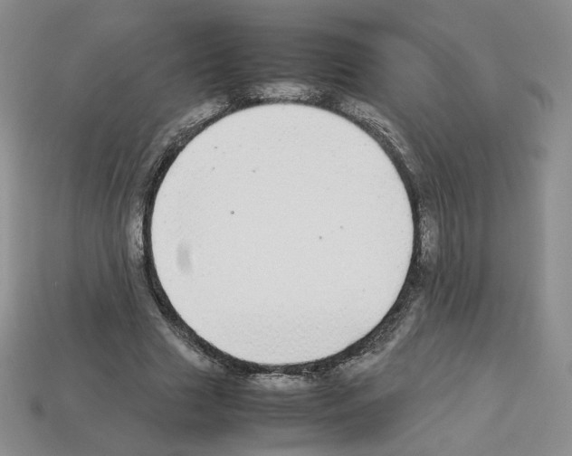 X0000112830633200910021223