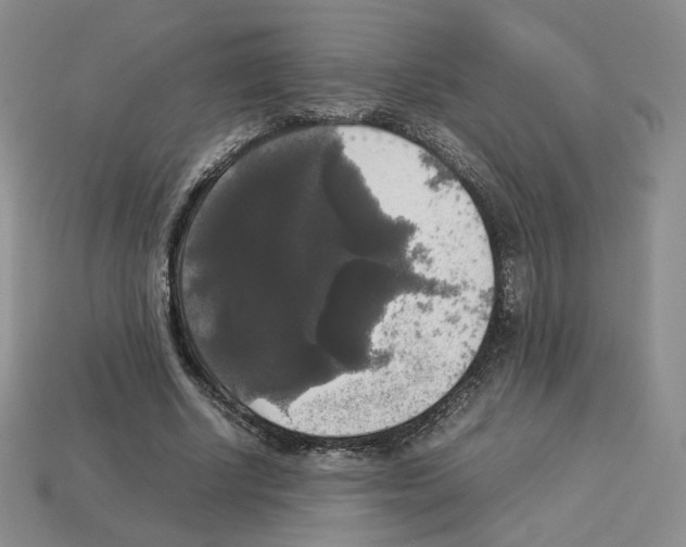 X0000112830634200910021223