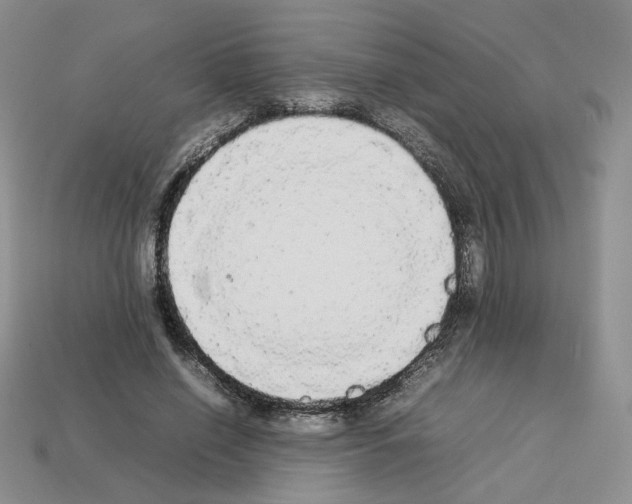 X0000112830638200910021223