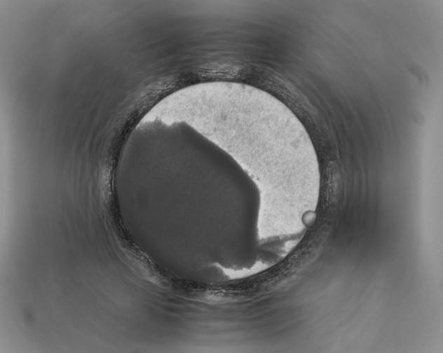 X0000112830641200910021223