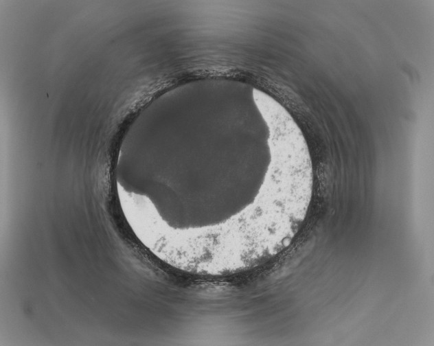 X0000112830642200910021223