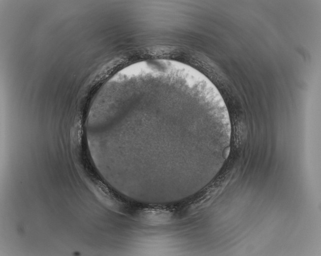 X0000112830644200910021223