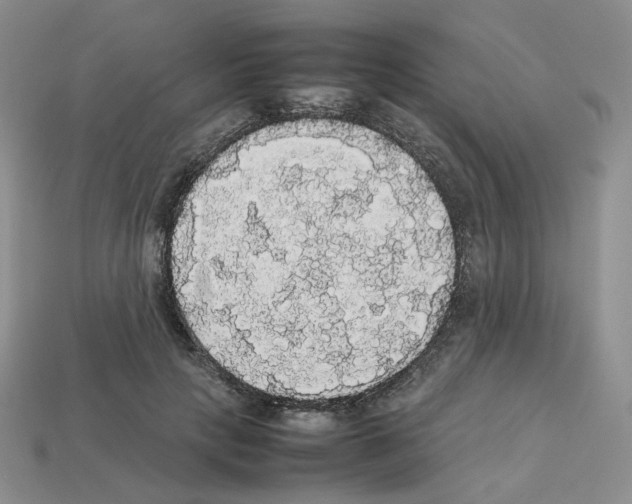 X0000112830649200910021223