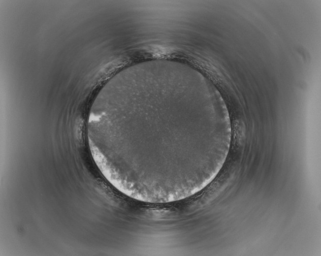 X0000112830650200910021223