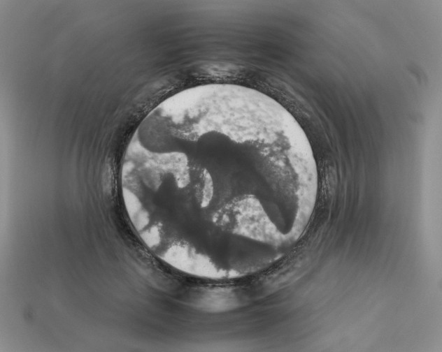 X0000112830651200910021223