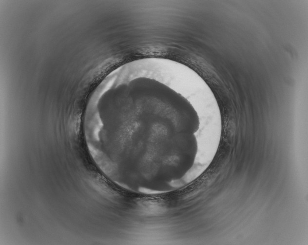 X0000112830652200910021223