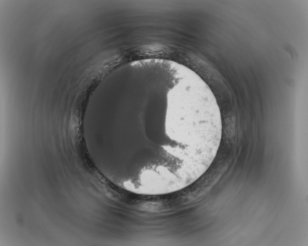 X0000112830653200910021223