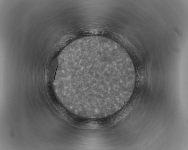 X0000112830656200910021223