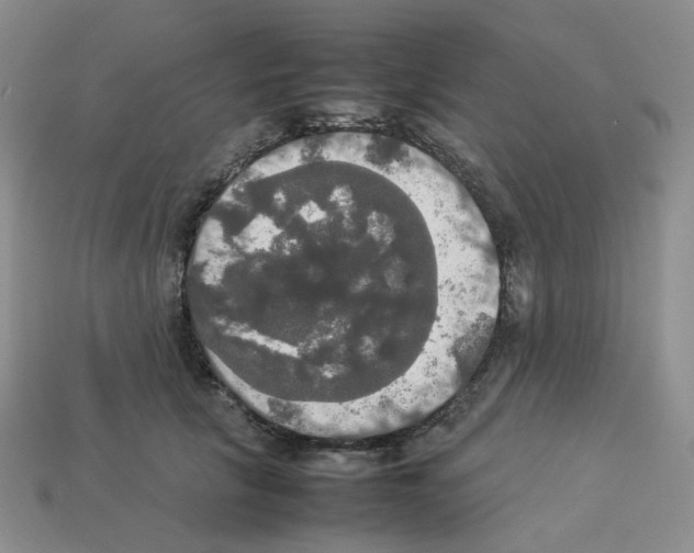 X0000112830657200910021223