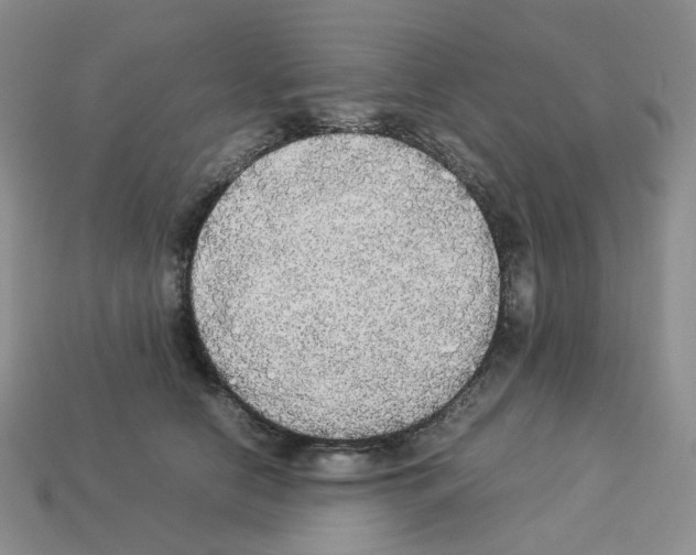 X0000112830658200910021223