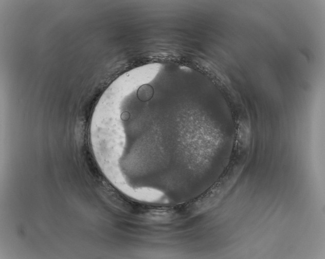 X0000112830659200910021223