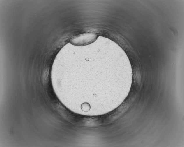 X0000112830660200910021223